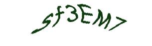 عبارت امنیتی