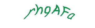 عبارت امنیتی