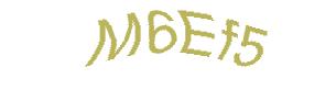 عبارت امنیتی