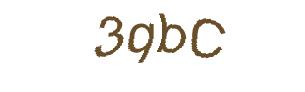 عبارت امنیتی