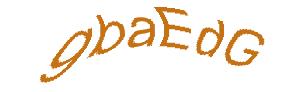 عبارت امنیتی
