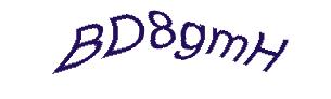 عبارت امنیتی