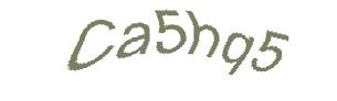 عبارت امنیتی
