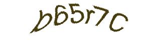 عبارت امنیتی