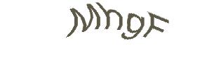 عبارت امنیتی