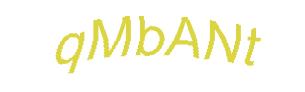 عبارت امنیتی