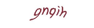 عبارت امنیتی