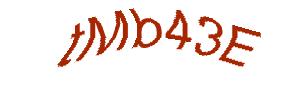 عبارت امنیتی