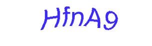 عبارت امنیتی