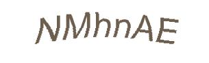 عبارت امنیتی