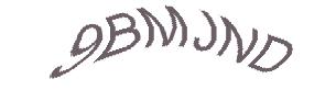 عبارت امنیتی
