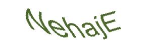 عبارت امنیتی
