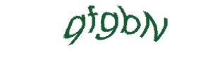 عبارت امنیتی