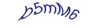 عبارت امنیتی