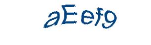 عبارت امنیتی