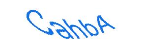 عبارت امنیتی