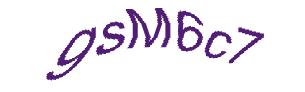عبارت امنیتی