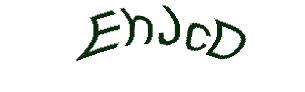 عبارت امنیتی
