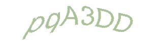 عبارت امنیتی