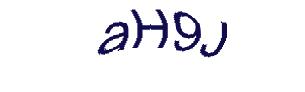 عبارت امنیتی