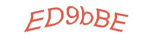 عبارت امنیتی