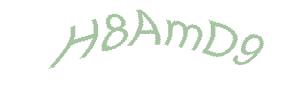 عبارت امنیتی