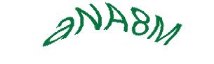 عبارت امنیتی