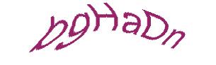 عبارت امنیتی
