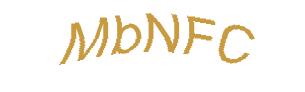 عبارت امنیتی