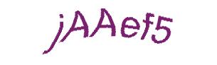 عبارت امنیتی