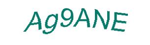 عبارت امنیتی