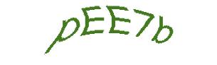 عبارت امنیتی