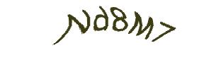 عبارت امنیتی