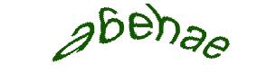 عبارت امنیتی