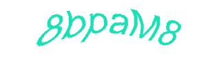 عبارت امنیتی