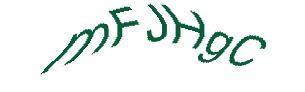 عبارت امنیتی