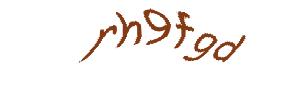 عبارت امنیتی