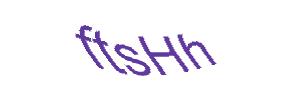 عبارت امنیتی