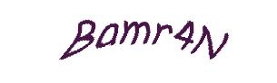 عبارت امنیتی