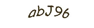 عبارت امنیتی