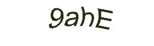 عبارت امنیتی