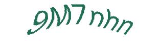 عبارت امنیتی