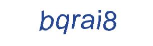 عبارت امنیتی