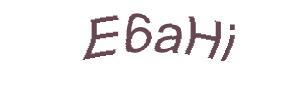 عبارت امنیتی