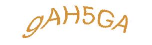 عبارت امنیتی