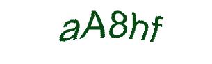 عبارت امنیتی