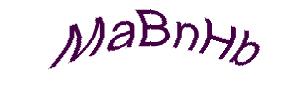 عبارت امنیتی