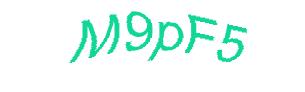 عبارت امنیتی