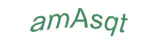 عبارت امنیتی
