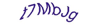 عبارت امنیتی